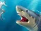 Žaidimas Shark Hunting internete