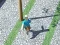 Žaidimas City Run 3D internete