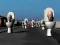 Žaidimas Hunt Skibidi Toilet internete