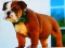 Žaidimas Bulldog Puppy Puzzle internete