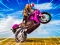 Žaidimas Crazy Wheelie Motorider internete
