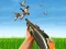 Žaidimas Bird Hunting internete