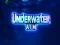 Žaidimas Underwater Aim internete
