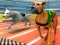 Žaidimas Dogs 3D Races internete