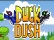 Žaidimas Duck Dash internete