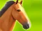 Žaidimas Horse Run 3D internete