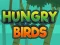 Žaidimas Hungry Birds internete