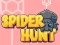 Žaidimas Spider Hunt internete