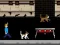 Žaidimas Streamer Fashion Run internete