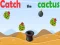 Žaidimas Catch The Cactus internete
