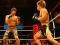 Žaidimas MMA Fighters Jigsaw internete