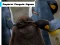 Žaidimas Emperor Penguin Jigsaw internete