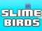 Žaidimas Slime Birds internete