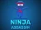Žaidimas Ninja Assassin internete