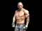 Žaidimas Fight Arena Online internete