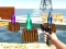 Žaidimas Bottle Shooter games internete