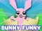 Žaidimas Bunny Funny internete