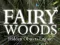 Žaidimas Fairy Woods Hidden Objects internete