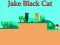 Žaidimas Jake Black Cat internete