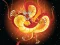 Žaidimas Chinese Dragons Coloring internete