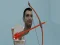 Žaidimas Skibidi Toilet Archer internete