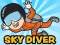 Žaidimas Skydiver internete