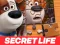 Žaidimas The Secret Life of Pets Jigsaw Puzzle internete