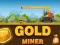 Žaidimas Amazing Gold Miner internete
