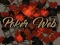 Žaidimas Poker Web internete