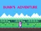 Žaidimas Bunn's Adventure internete