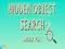 Žaidimas Hidden Object Search 2 More Fun internete