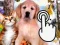Žaidimas Pets Clicker internete