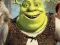 Žaidimas Shrek Jigsaw Puzzle Collection internete