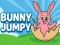 Žaidimas Bunny Jumpy internete