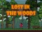 Žaidimas Lost in the Woods internete