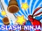 Žaidimas Slash Ninja internete