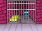 Žaidimas G2M Prison Escape internete