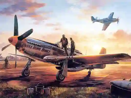 Žaidimas Air Combat Puzzle internete