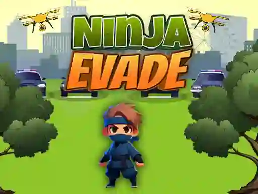 Žaidimas Ninja Evade internete
