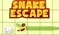 Žaidimas Snake escape internete