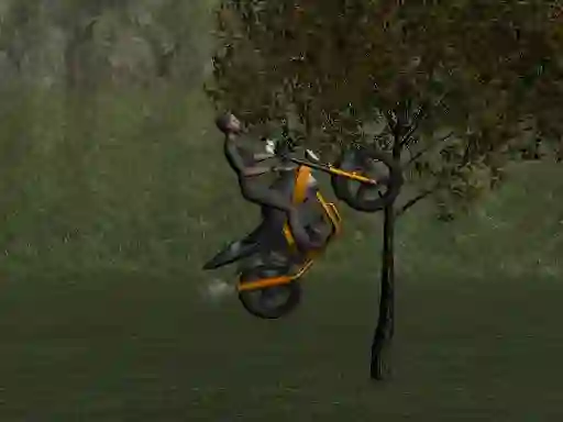 Žaidimas Mountain Bike Rider internete