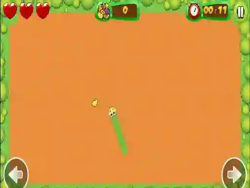 Žaidimas Fruit Snake internete