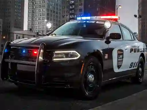Žaidimas Police Cars Slide internete