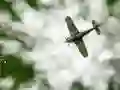 Žaidimas Skies of war internete