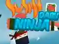 Žaidimas Sushi Ninja Dash internete