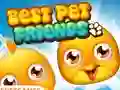 Žaidimas Best Pet Friends internete