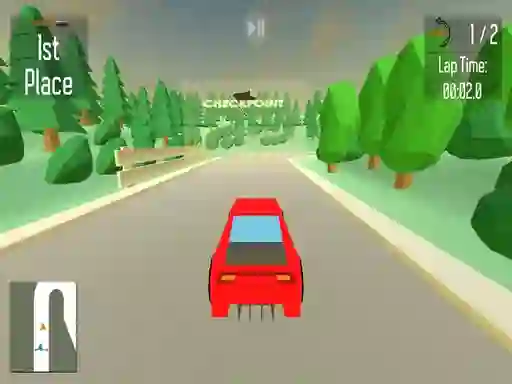 Žaidimas Private Racing internete