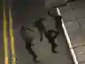 Žaidimas Zombie Reborn internete