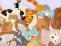 Žaidimas Find The Kitty internete