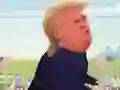 Žaidimas Trump Walk internete